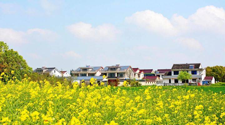 河南焦作市發(fā)文推進農(nóng)村人居環(huán)境整治、農(nóng)村污水治理、黑臭水體治理
